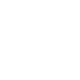 icon-document-download-white